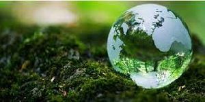 Environmental Services