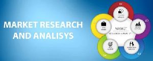 Market Research and Analysis Services