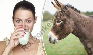 donkey milk