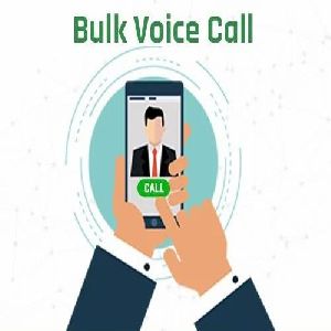 Bulk Voice Call Service