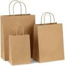 Customized Paper Carry Bags