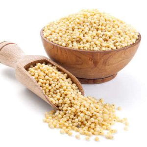 sorghum millet