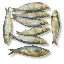 salai dry fish