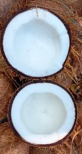 Semi - Husked Coconut