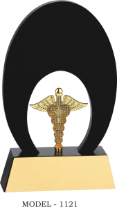 Corporate Award 1121