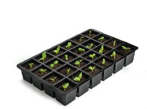 24 Cavity Seedling Tray