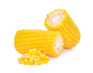 corn cobs