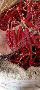 Sanam S4 Dry Red Chilli