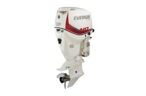 2019 Evinrude E TEC Engines 25 HP E25DPSL White