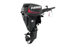 2019 Evinrude E Tec 30 HP e30dgtl Graphite Outboard Engines