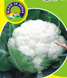 Nxg Anmol Cauliflower Seed