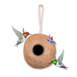 Round bird nest