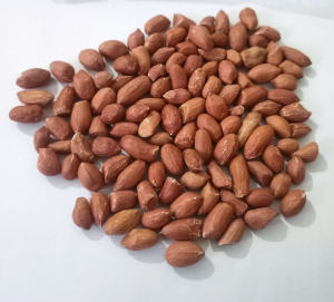 groundnut seeds