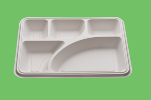 5 CP MEAL TRAY