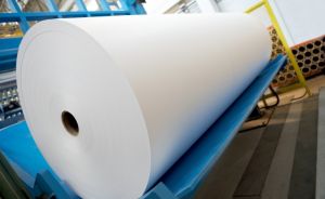 PE Coated Paper Reels