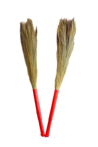 broom grass