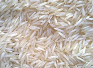 BASMATI RICE - 1509 CREAMY SELLA