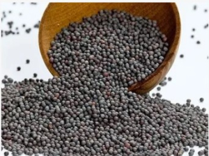 mustard seeds