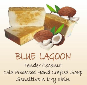 Blue Lagoon - Cold Processed Tender Coconut and Cream Soap