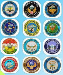 air force pvc badges