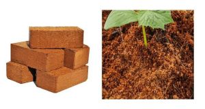 cocopeat brick & Powder