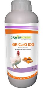 GR CurQ 100