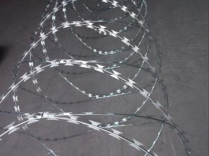 Concertina Coil Fencing Wire