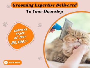 dog grooming service