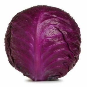 Fresh Purple Cabbage