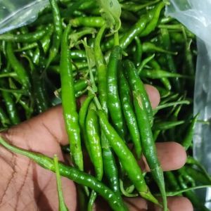 fresh green chili