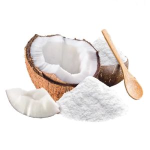 Spray Dried Coconut Milk Powder