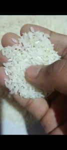 arwa rice