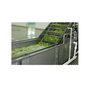 Vegetable Processing Plant