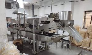Continuous Namkeen chips fryer