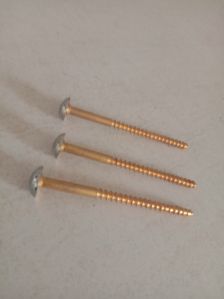 brass screw