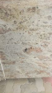 Bhama Gold Granite Slab