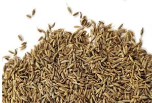 Cumin Seeds