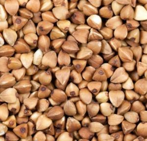 Natural Buckwheat Seed