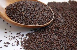 Natural Mustard Seeds