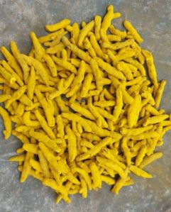 Turmeric Finger (Haldi)