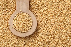 Amaranth Millet