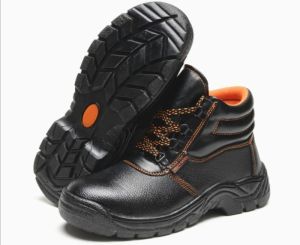 low ankle safety shoes double density