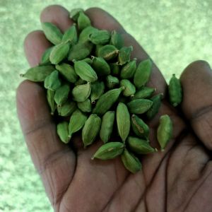 green cardamom