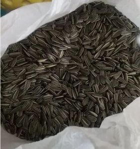 Black Sunflower Seeds