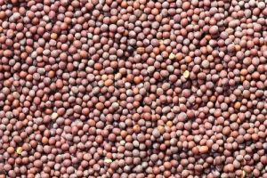 Natural Red Mustard Seed