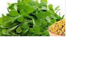 Fenugreek Leaves Juice, Packaging Size : 1000 Ml