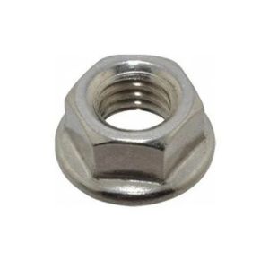 Mild Steel Flange Nut