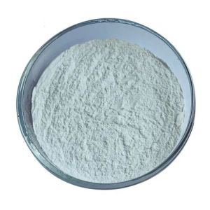 Dicalcium Phosphate Powder