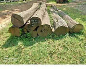 Rose Wood Log