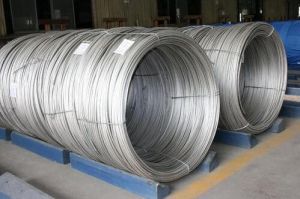 202 stainless steel wire
